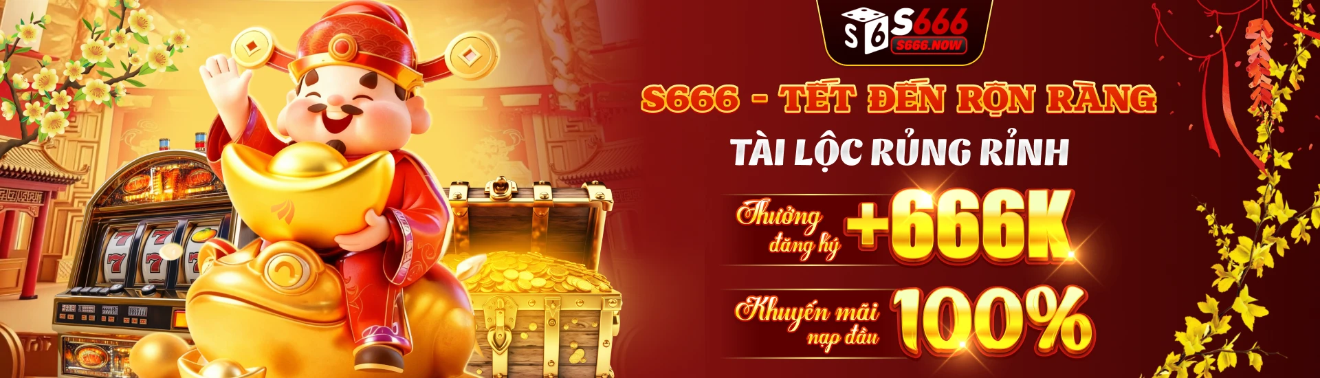 banner s666