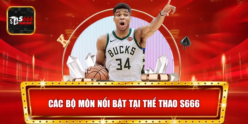 Thể Thao S666 có bóng đá, bóng rổ, quần vợt, đua xe và eSports với kèo cược minh bạch.