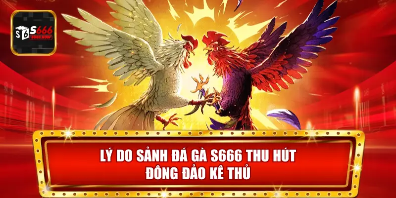 Đá Gà S666 thu hút nhờ hình ảnh chất lượng, tỷ lệ cược công bằng và cơ hội nhận thưởng hấp dẫn.